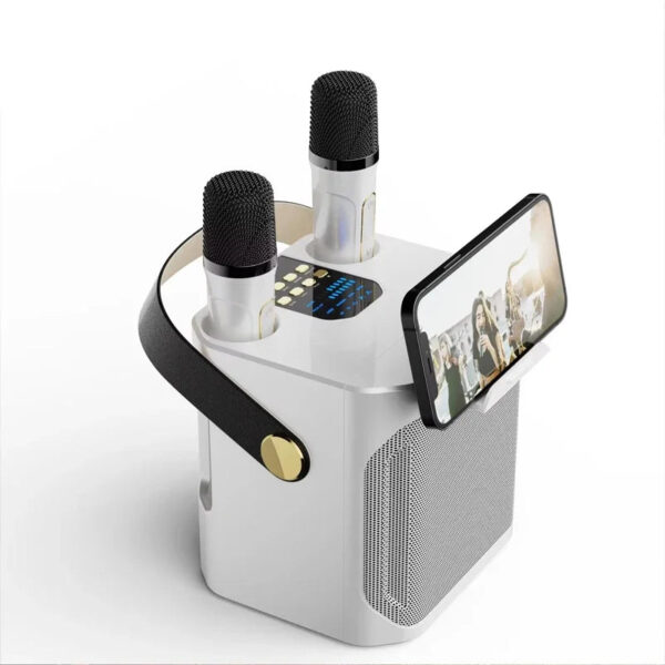 High Power Karaoke Bluetooth Speaker with Dual Microphone Boombox Portable 360 Stereo Surround Waterproof Wireless Subwo
