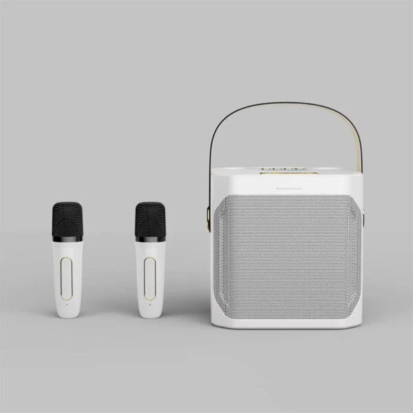 High Power Karaoke Bluetooth Speaker with Dual Microphone Boombox Portable 360 Stereo Surround Waterproof Wireless Subwo