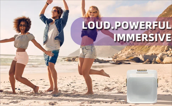 High Power Karaoke Bluetooth Speaker with Dual Microphone Boombox Portable 360 Stereo Surround Waterproof Wireless Subwo