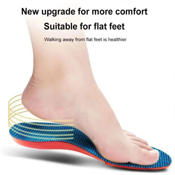 1 Pair New Sports Elasticity Insoles Elasticity Shock Absorption Breathable Running Insoles