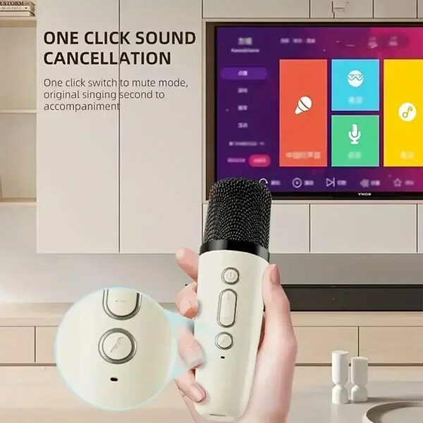 K12 Bluetooth Karaoke Machine Portable 5.3 PA Speaker System with 1-2 Wireless Microphones Home Family Singing Children'