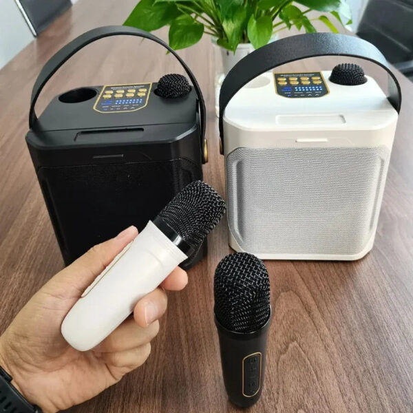 High Power Karaoke Bluetooth Speaker with Dual Microphone Boombox Portable 360 Stereo Surround Waterproof Wireless Subwo