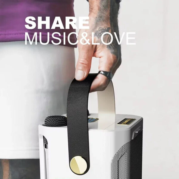 High Power Karaoke Bluetooth Speaker with Dual Microphone Boombox Portable 360 Stereo Surround Waterproof Wireless Subwo